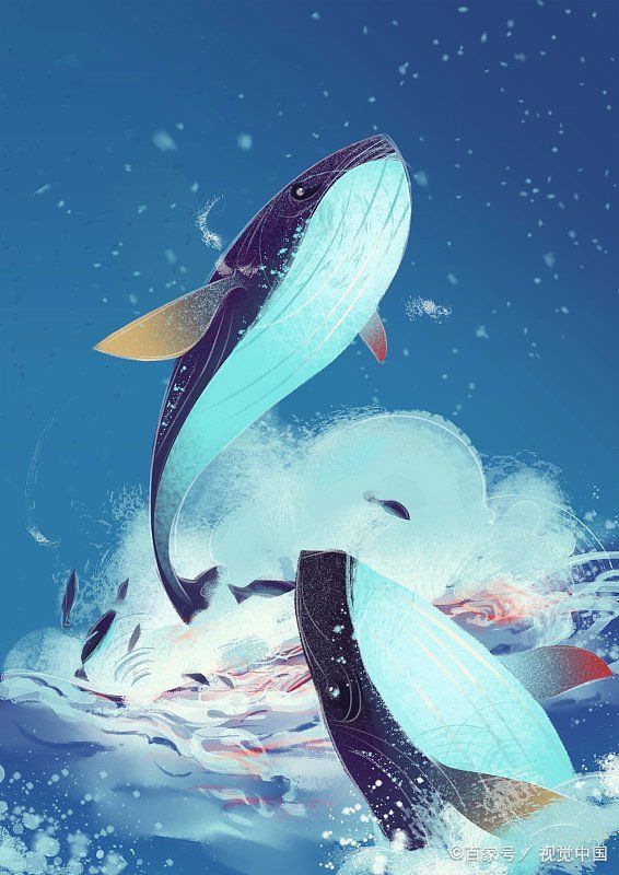 鯨魚怎樣給小鯨魚喂奶