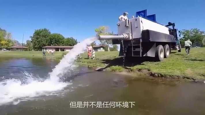 龍魚放生的考量因素（龍魚可以放生到自然水域嗎？）