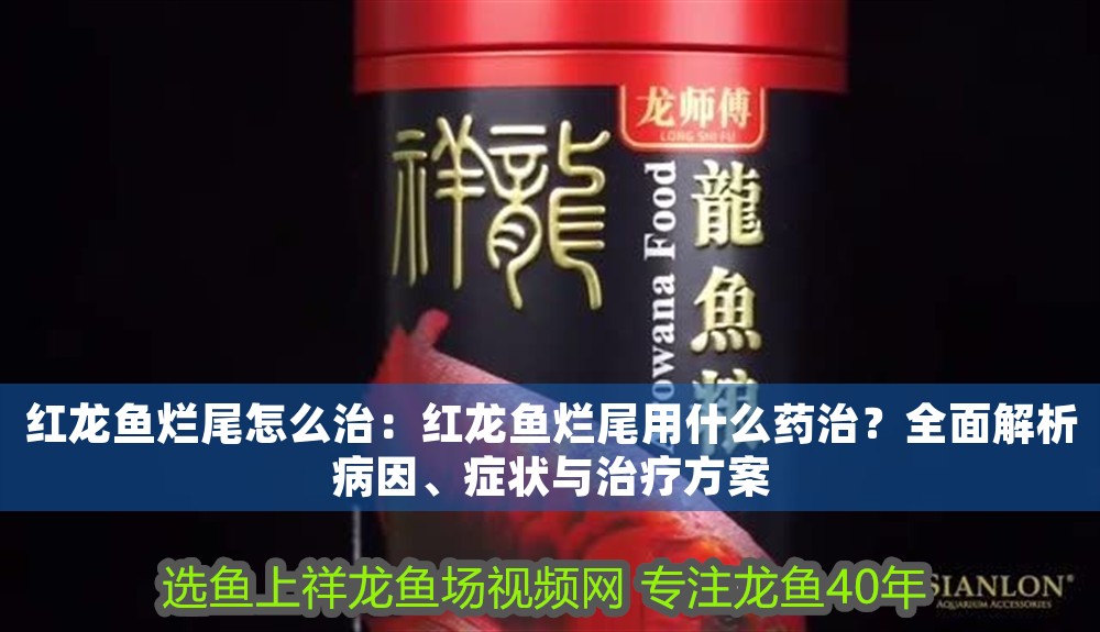 紅龍魚爛尾怎么治：紅龍魚爛尾用什么藥治？全面解析病因、癥狀與治療方案
