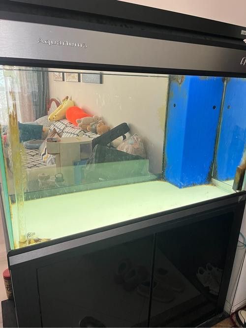 彩蝶龍魚缸CGB好用嗎