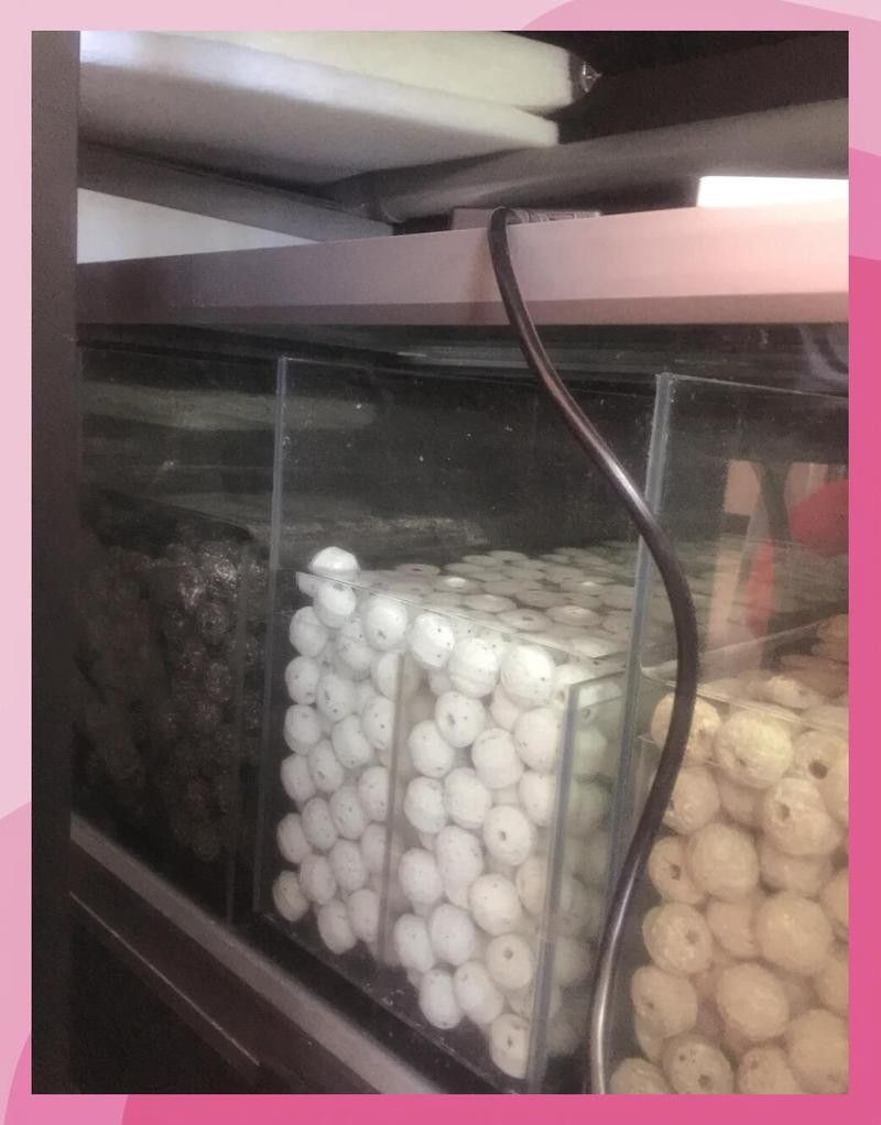 彩蝶龍魚缸CGB好用嗎