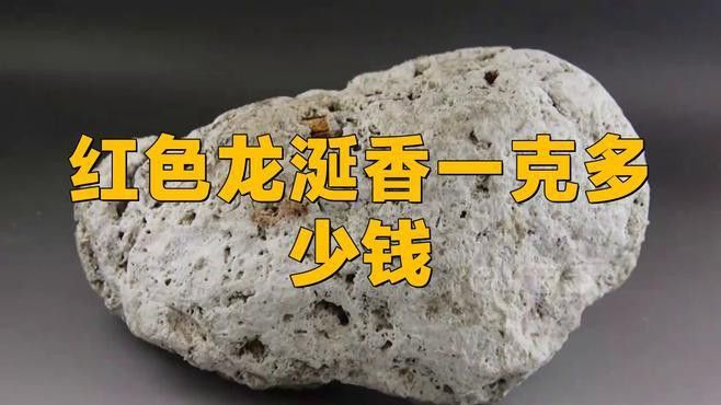 紅龍涎的價格是多少？