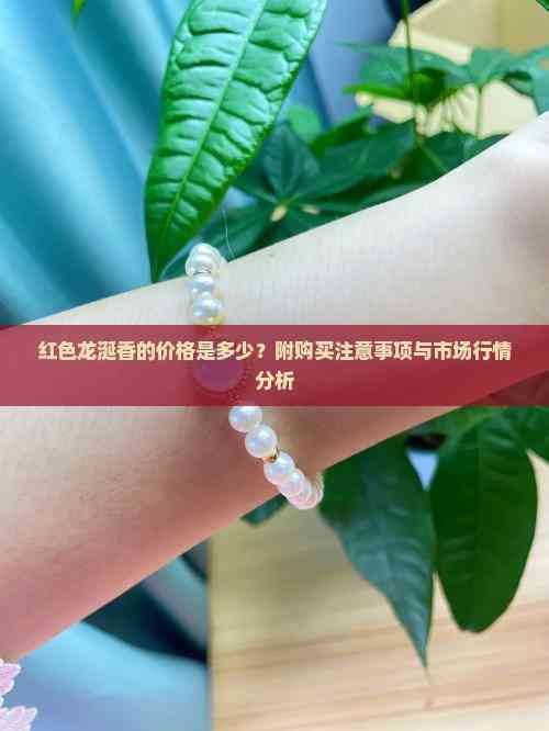 紅龍涎的價格是多少？
