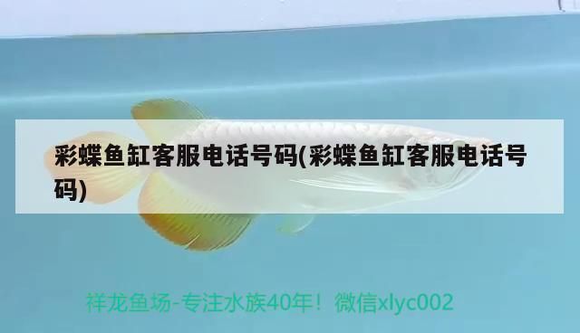 彩蝶魚缸售后電話是多少，彩蝶魚缸常見問題解答 彩蝶魚缸售后電話是多少，彩蝶魚缸常見問題解答 龍魚百科 第5張