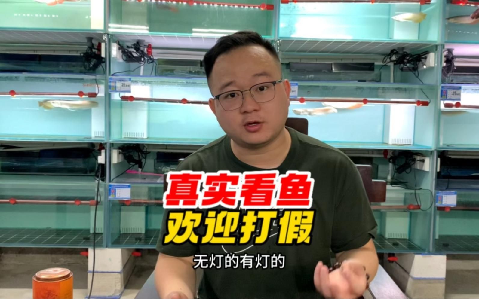 如何拍攝高質量的龍魚照片？