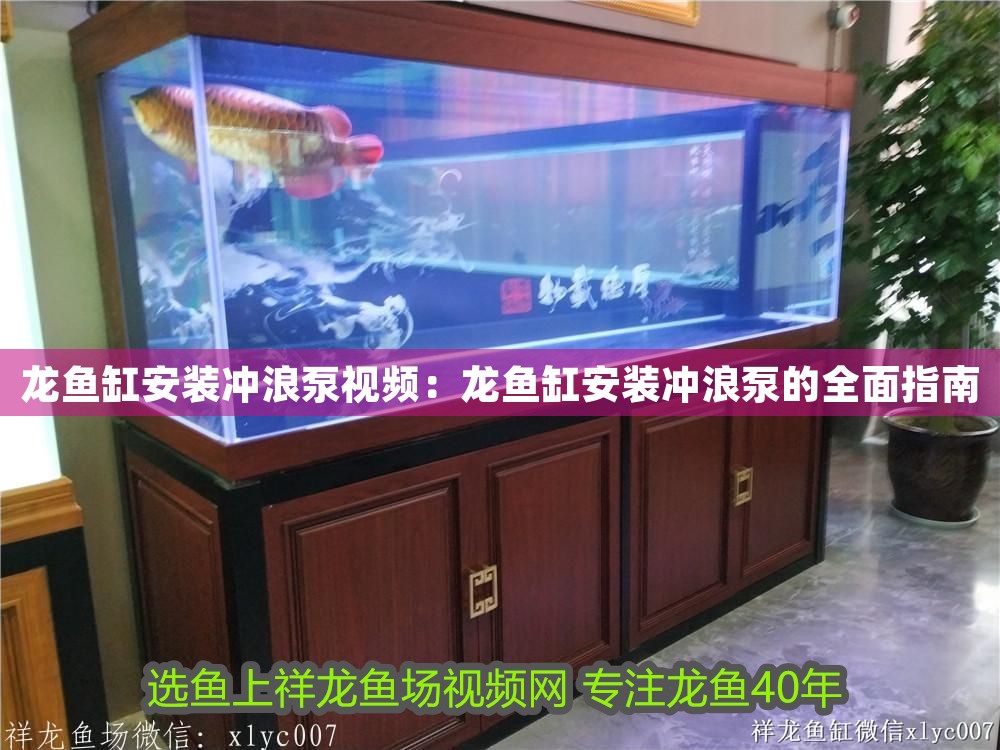 龍魚缸安裝沖浪泵視頻：龍魚缸安裝沖浪泵的全面指南