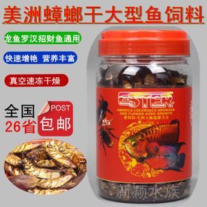 龍魚飼料可以喂養(yǎng)招財魚嗎（龍魚飼料可以喂養(yǎng)招財魚嗎，）