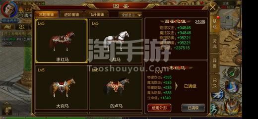 龍魚在哪里生活最好：龍魚在哪里生活最好，理想棲息環境全解析