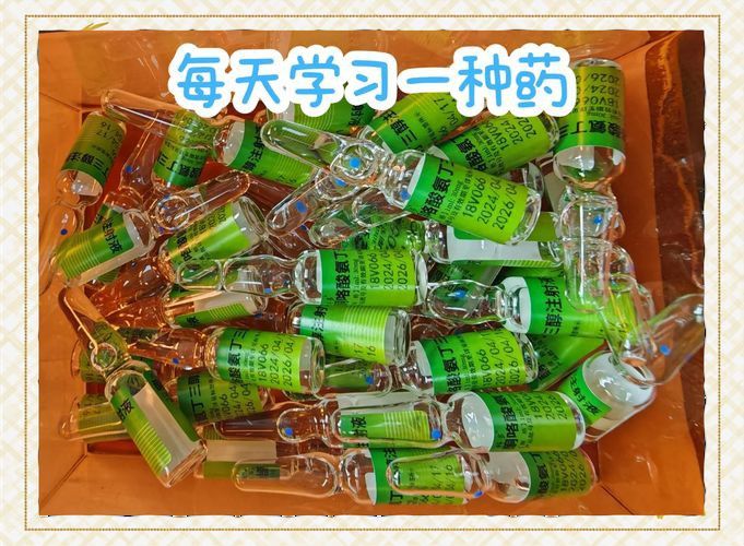 紅龍魚蒙眼最怕三個藥圖片