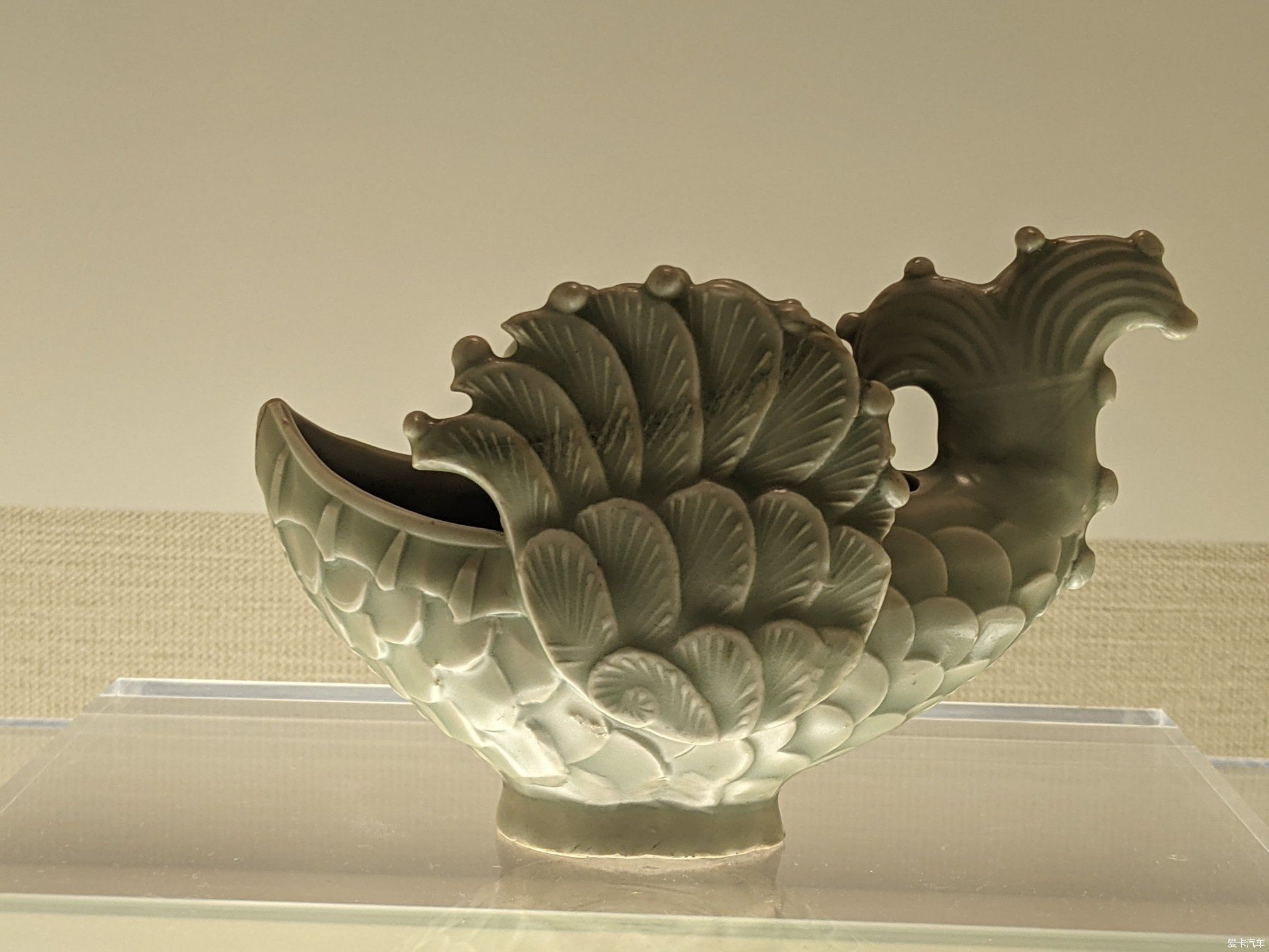 龍魚鰭損傷的恢復時間（龍魚的鰭損傷的恢復時間）