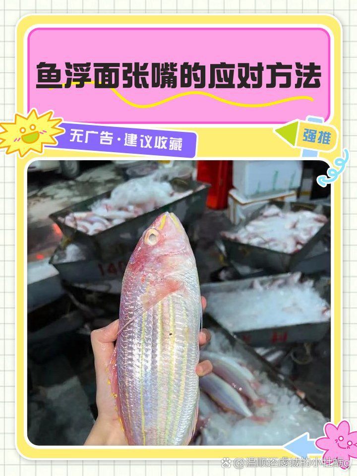 龍魚浮頭張嘴最簡單三個步驟