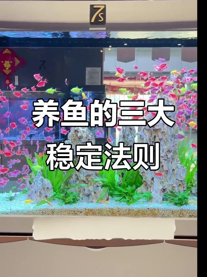 如何提供穩(wěn)定的環(huán)境給這些魚(yú)？