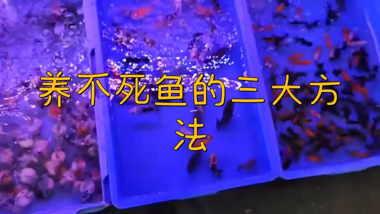 如何提供穩(wěn)定的環(huán)境給這些魚(yú)？