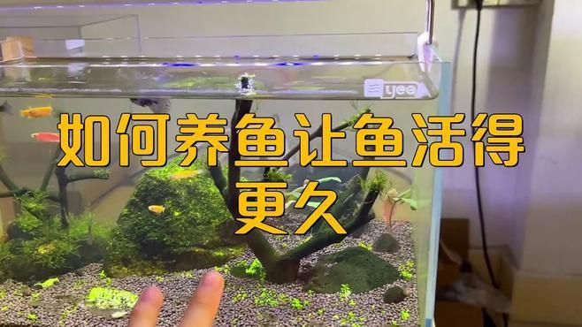 如何提供穩(wěn)定的環(huán)境給這些魚(yú)？