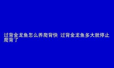 過背今龍魚什么階段增色最好（過背金龍魚最佳增色階段）