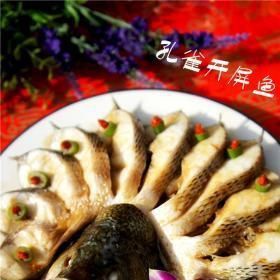孔雀鱸魚可以吃嗎