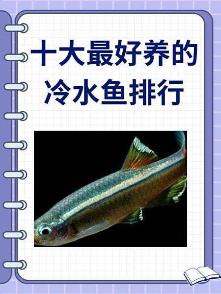 銀龍魚是冷水魚嗎