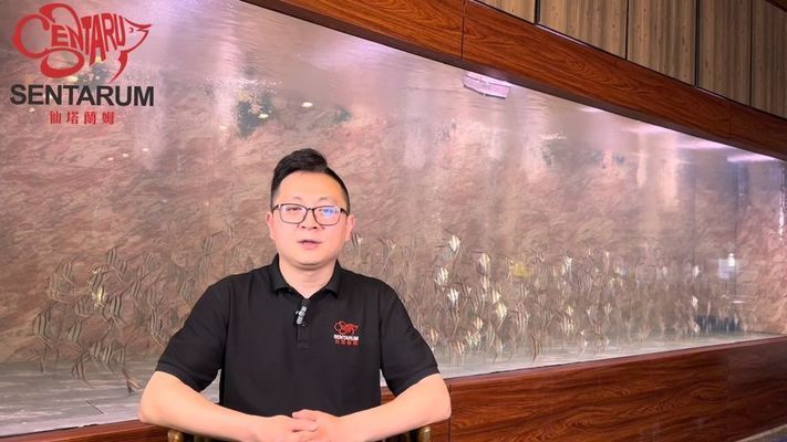 養的龍魚死了是直接扔掉還是？（當龍魚死亡時，不應直接扔掉死魚，這些方法不僅能防疾病傳播）