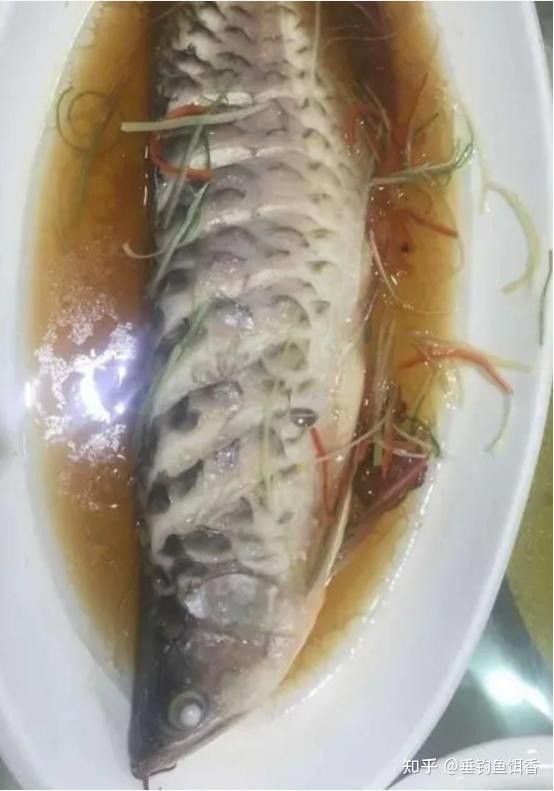 一條銀龍魚多少錢