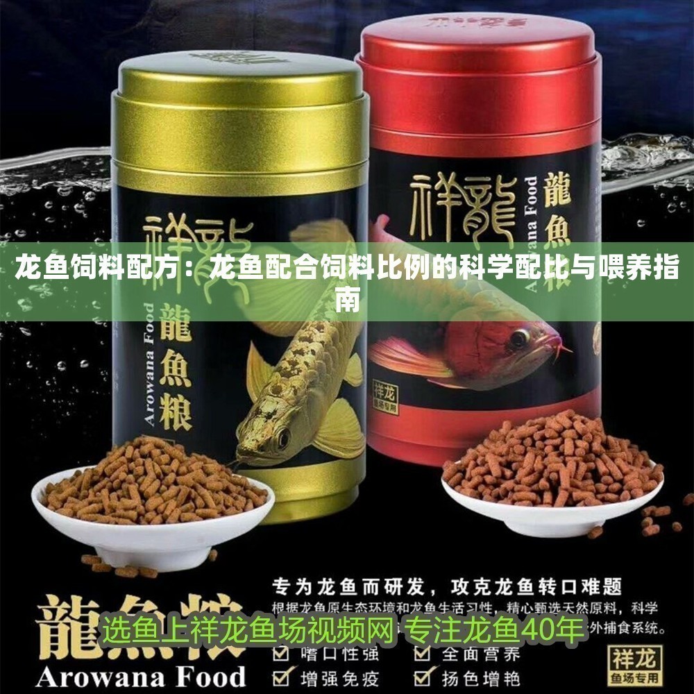 龍魚飼料配方：龍魚配合飼料比例的科學配比與喂養(yǎng)指南
