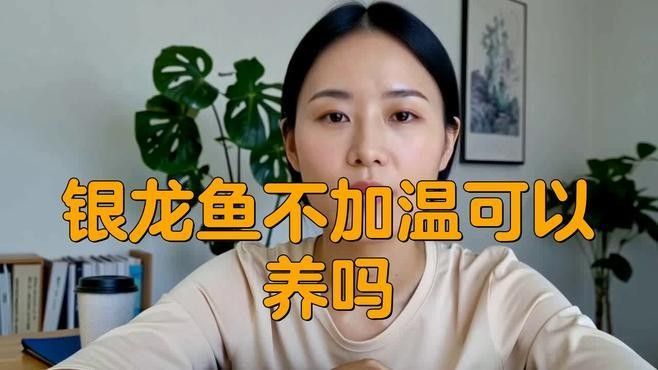 銀龍魚能在常溫養(yǎng)嗎？
