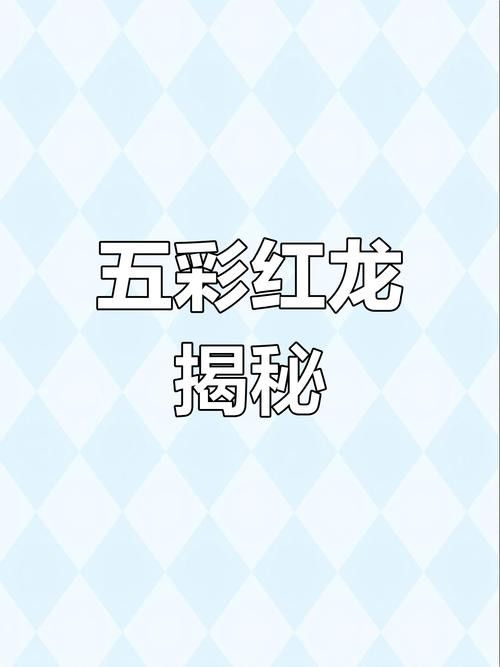 紅龍魚有幾個品種圖片大全圖解