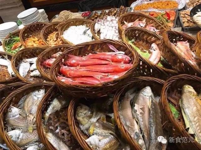 潮汕金龍魚是什么魚種（關(guān)于“潮汕金龍魚”的問題）