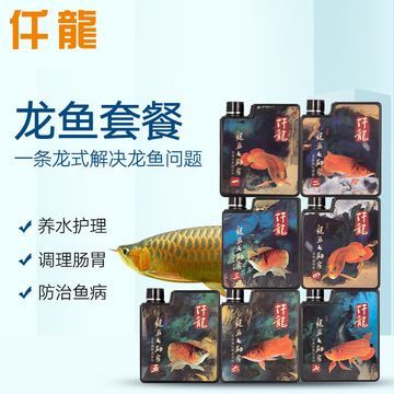 怎樣調理龍魚腸胃：如何對龍魚進行腸胃調理