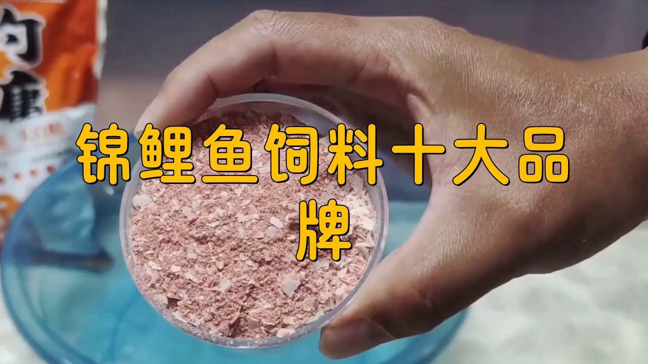 錦鯉魚(yú)糧十大品牌排行榜