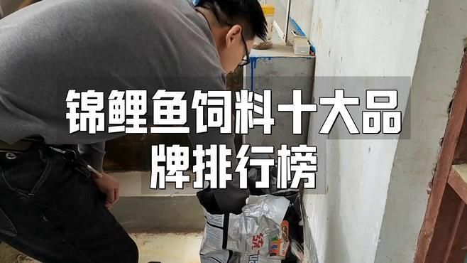 錦鯉魚(yú)糧十大品牌排行榜