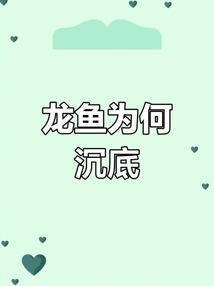 龍魚沉底后如何急救？
