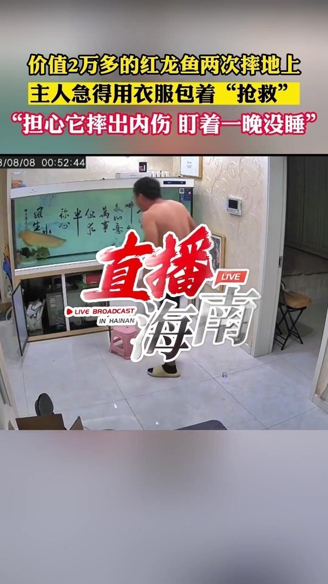 龍魚沉底后如何急救？