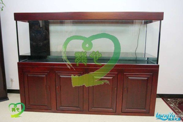 紅龍魚飼養需要哪些設備？