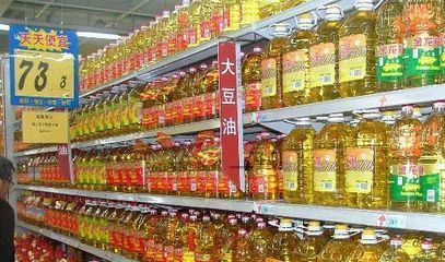 金龍魚(yú)價(jià)格排行榜前十名（金龍魚(yú)價(jià)格排行榜）