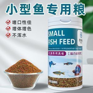 金龍魚捕食錦鯉：如何防止金龍魚捕食錦鯉