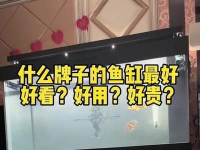 龍魚缸什么牌子性價(jià)比高，性價(jià)比高的龍魚缸品牌有哪些