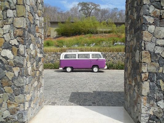紅龍魚怎么上色快些：紅龍魚發(fā)色速度受多種因素影響，紅龍魚混養(yǎng)搭配技巧