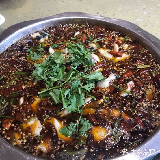 重慶哪里有賣龍魚的地方啊視頻