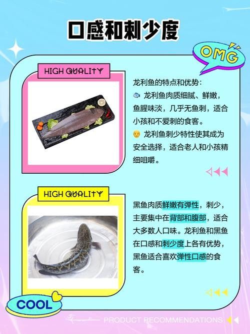 龍魚是黑魚嗎圖片