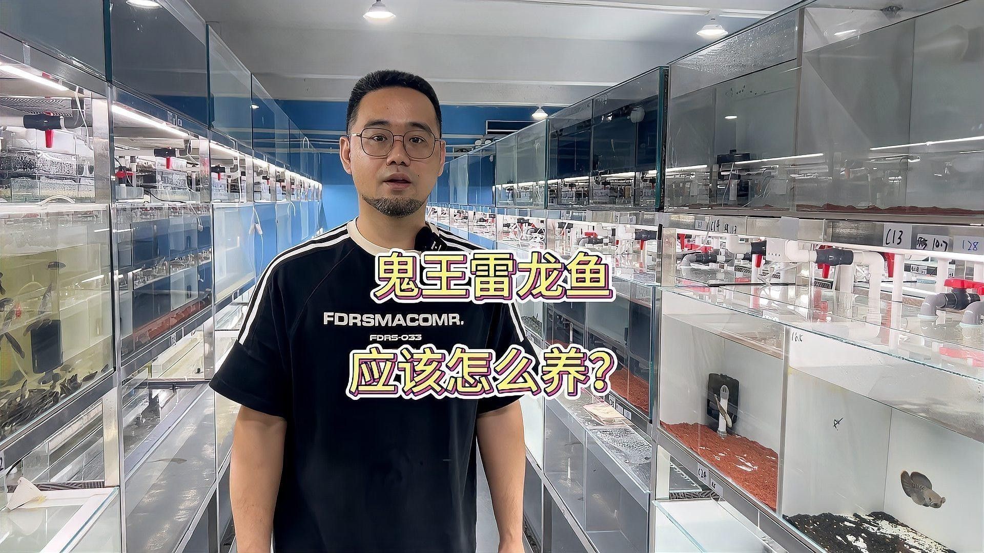如何為鬼王雷龍魚設(shè)置造景？