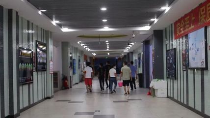 廣州芳村龍魚批發(fā)市場（廣州芳村龍魚批發(fā)市場價格）