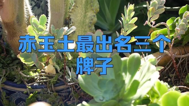 買哪個牌子赤玉土最好
