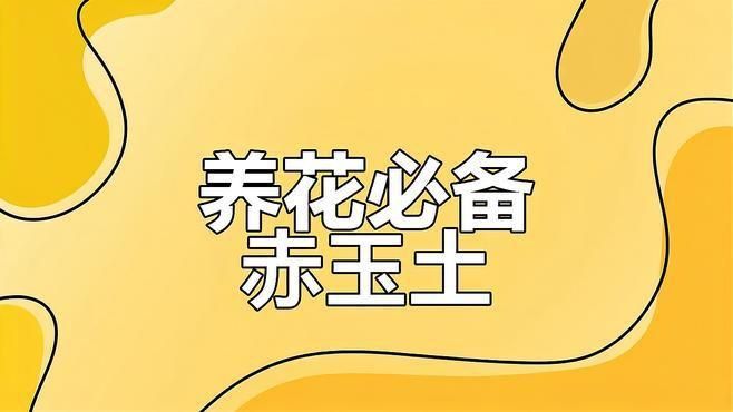 買哪個牌子赤玉土最好