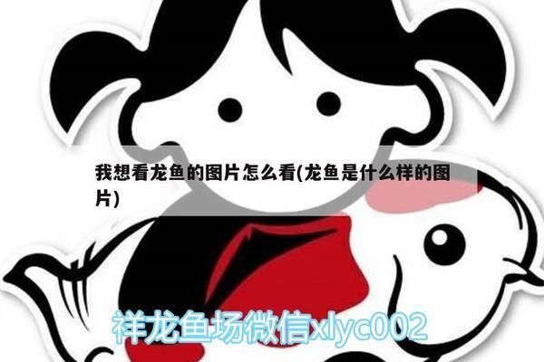 蘭龍魚怎么繁殖的（蘭龍魚繁殖期的餌料選擇防止蘭龍魚繁殖期疾病的方法）