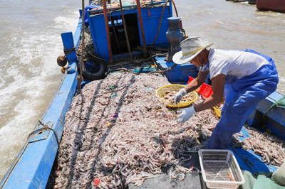 白龍魚刺多不多怎么判斷出來：白龍魚刺多不多怎么判斷