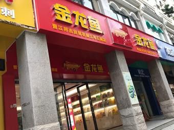 金龍魚連云港分公司