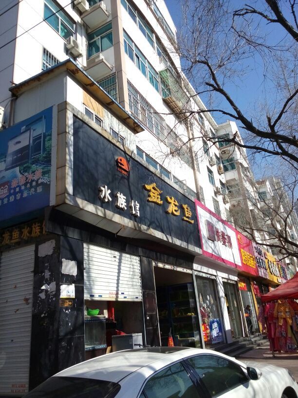 金龍魚連云港分公司