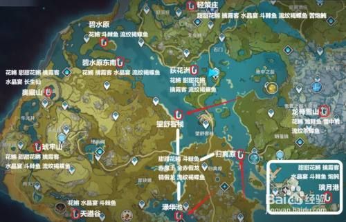 3厘米雷龍魚苗子（雷龍魚苗長什么樣）