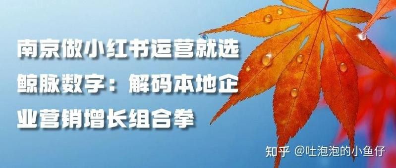南京龍魚文化傳媒有限公司怎么樣知乎推廣