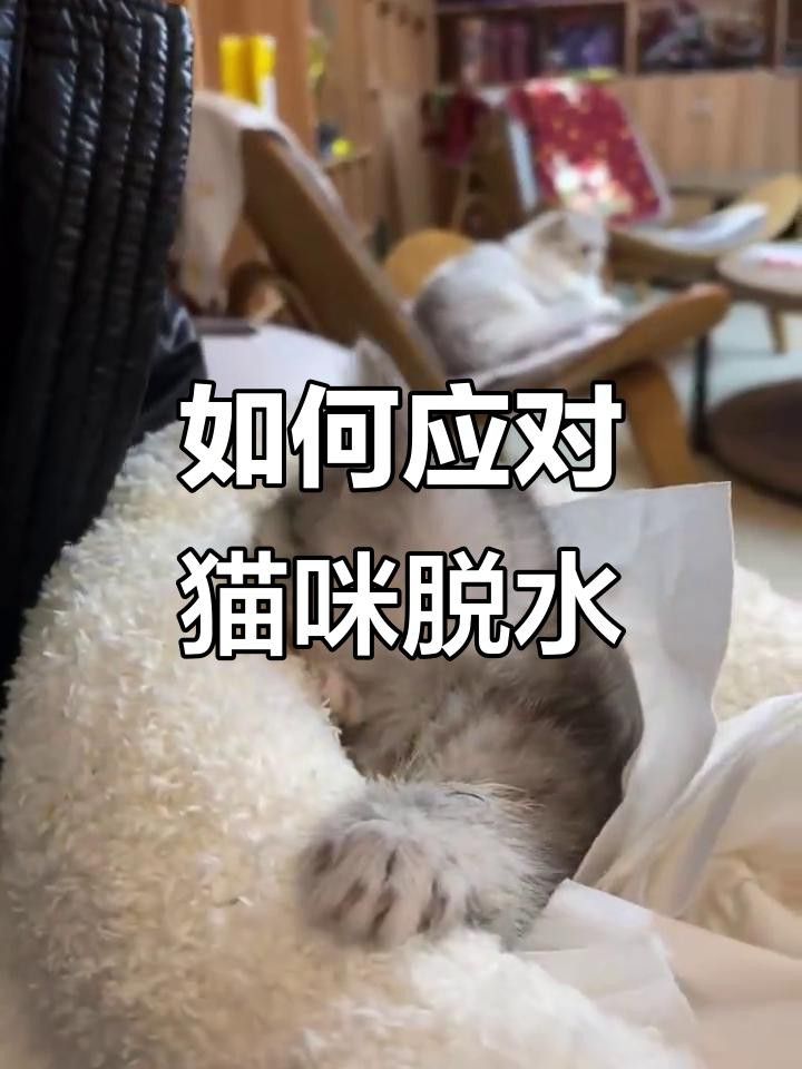 如何判斷小火龍是否脫水？